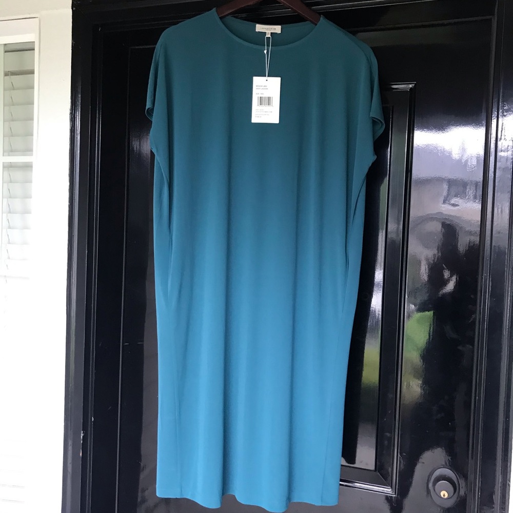 Beautiful high end dress (new with tags). Ordered but wrong size for me.